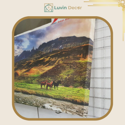 Tranh canvas chất liệu gì